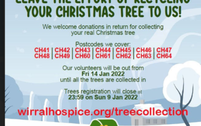 Christmas Tree Collection 2022